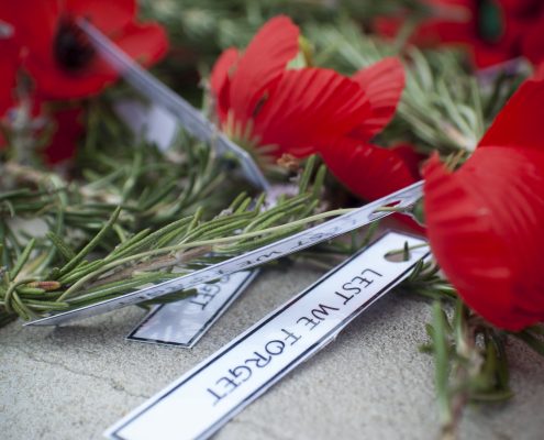 Poppies on Memorial Day